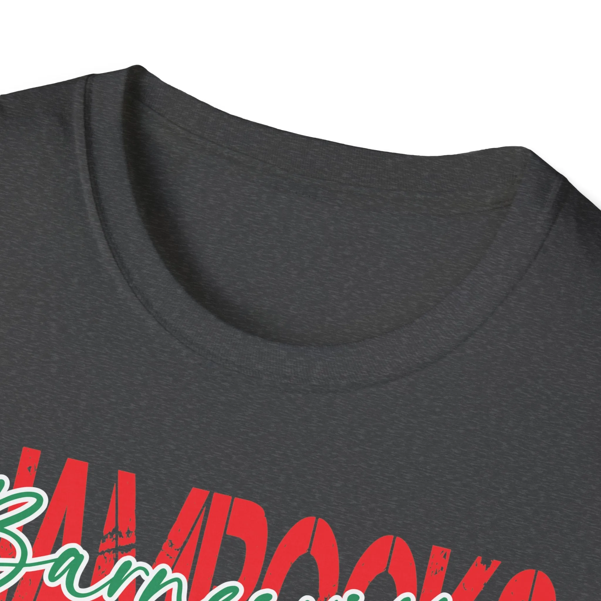 Gildan Unisex Softstyle T-Shirt - Barnesville