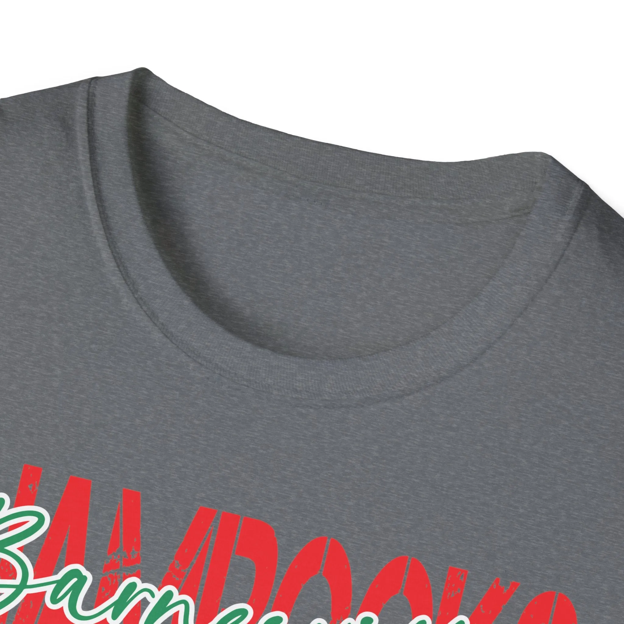 Gildan Unisex Softstyle T-Shirt - Barnesville
