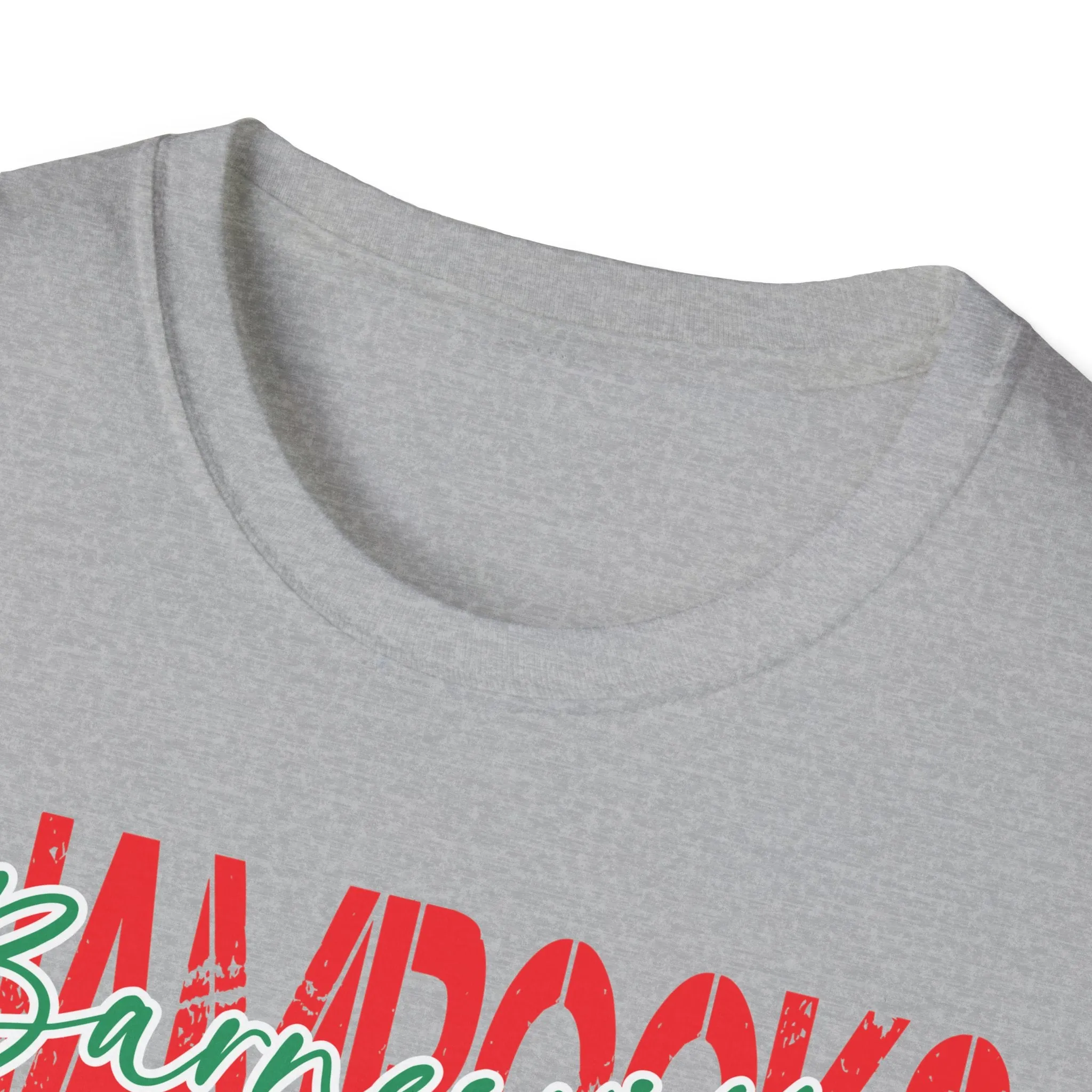 Gildan Unisex Softstyle T-Shirt - Barnesville