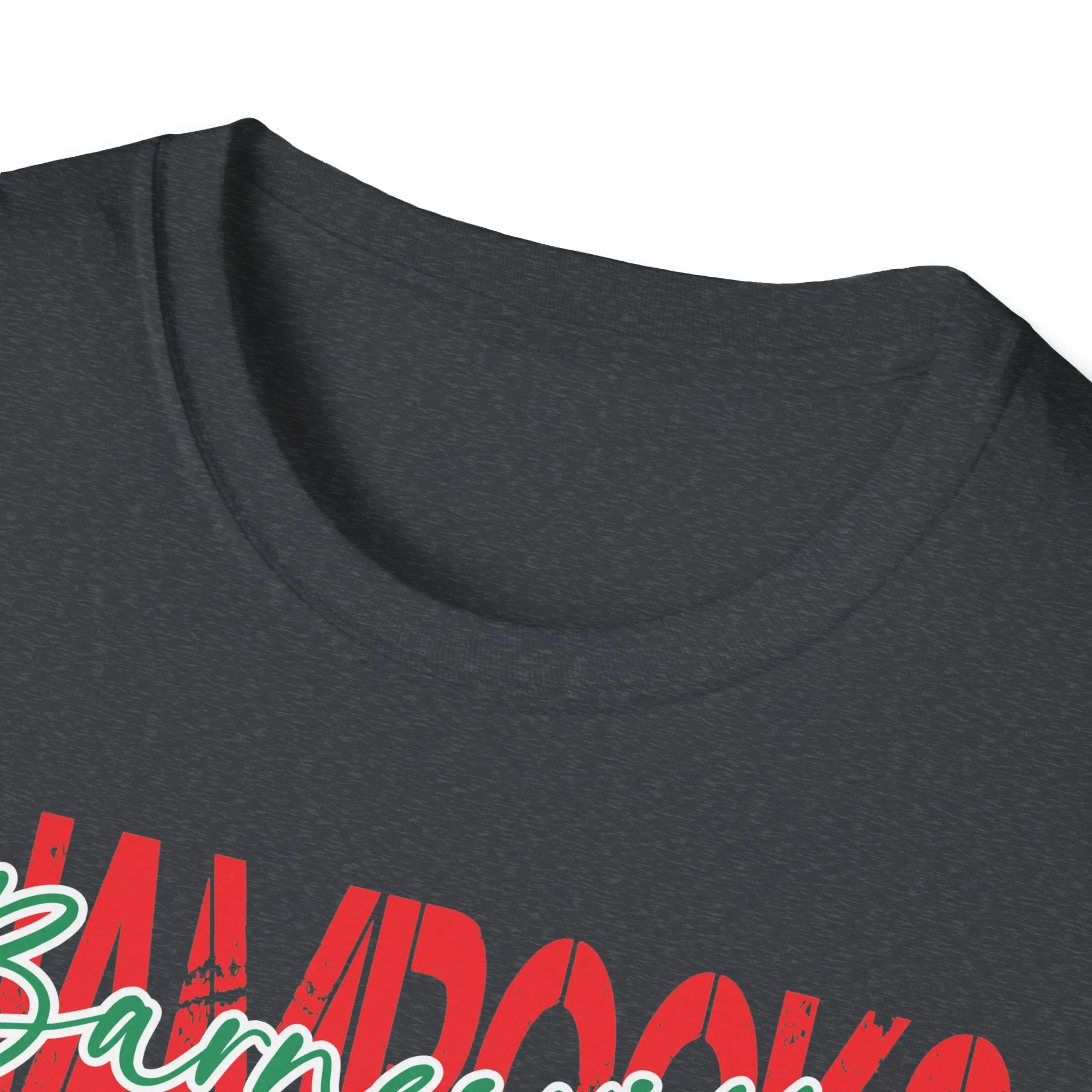 Gildan Unisex Softstyle T-Shirt - Barnesville