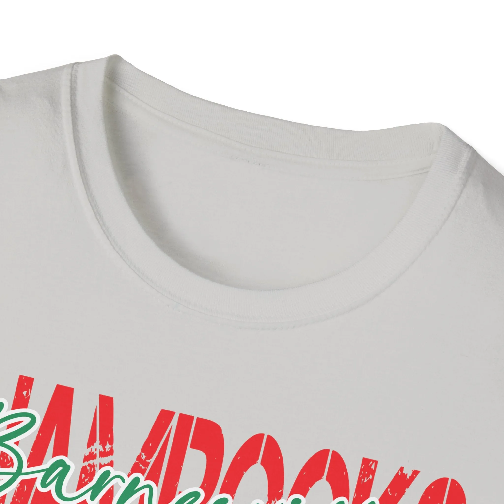 Gildan Unisex Softstyle T-Shirt - Barnesville