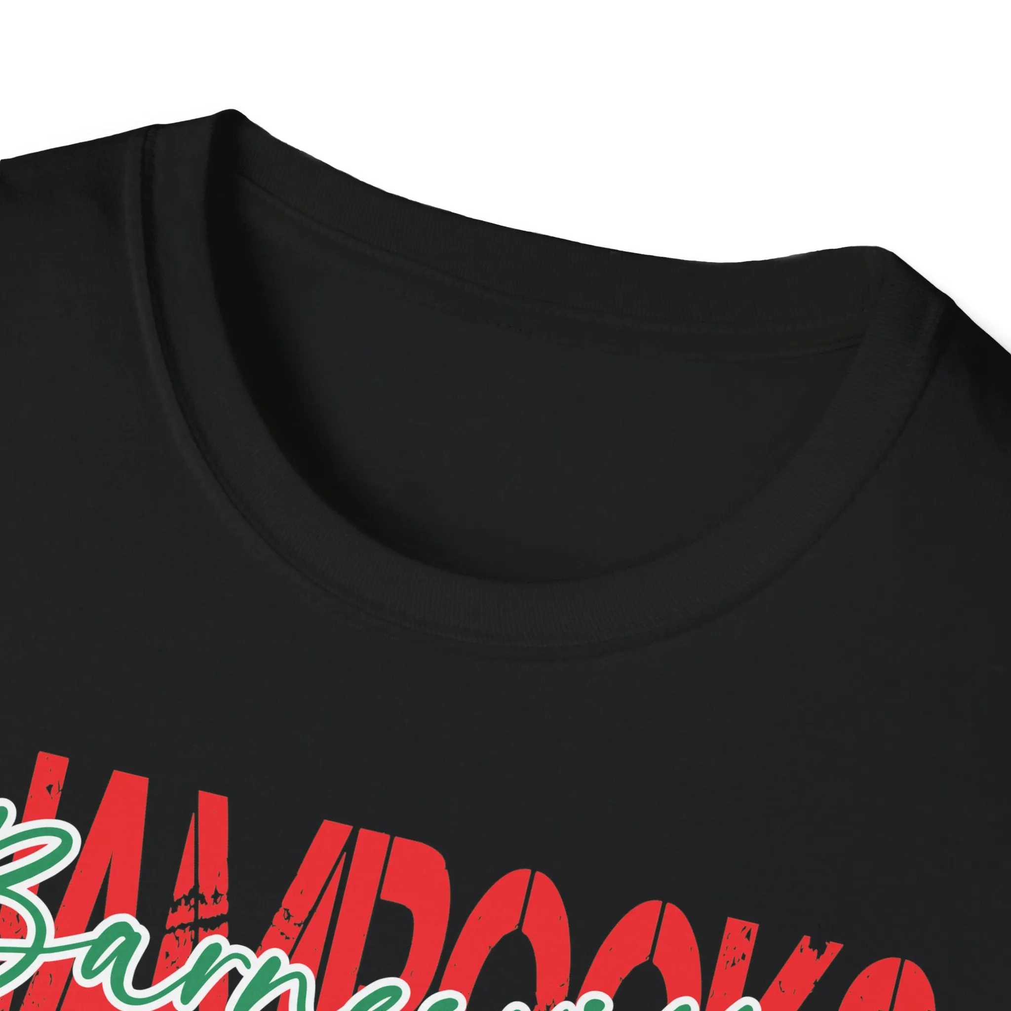 Gildan Unisex Softstyle T-Shirt - Barnesville